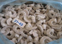 冷凍冰鮮品招商 攜手共贏，開啟海鮮財富新篇章